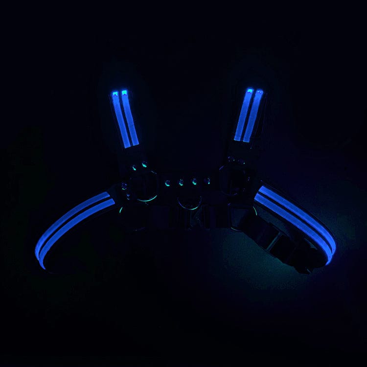 MENAFUL™ blue Men's glowing colorful rechargeable sexy harness