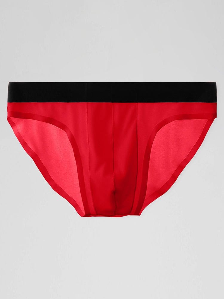 menaful Briefs 4 Pack Ice Silk Seamless Men's Briefs