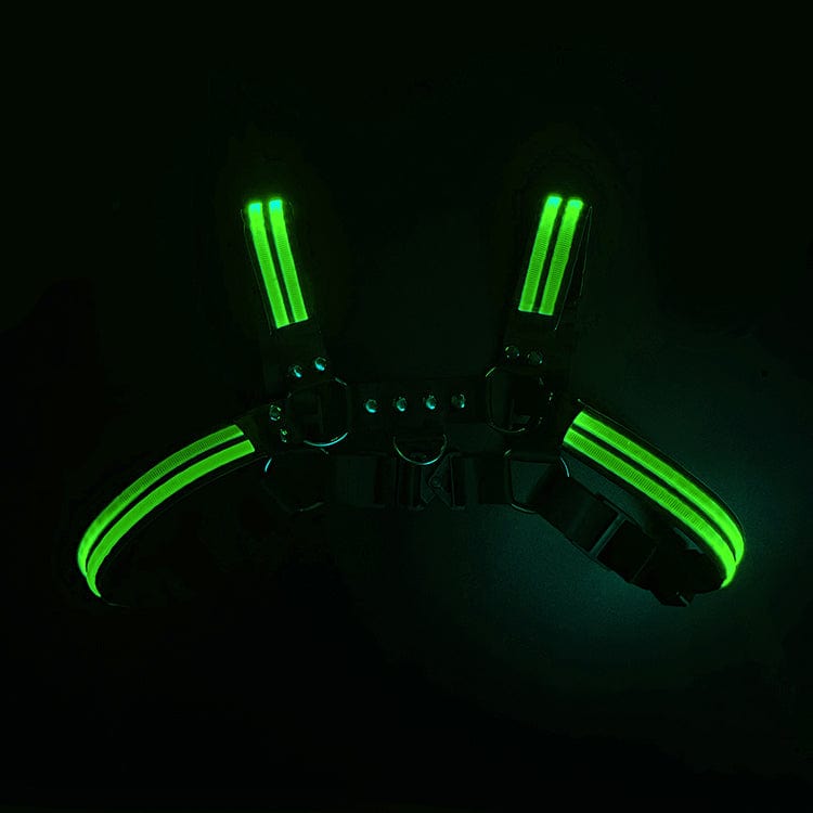 MENAFUL™ green Men's glowing colorful rechargeable sexy harness