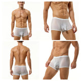 AY Underwear 6 Pack Men's Elephant's Trunk Super Thin Ice Silk See-Through Underpants