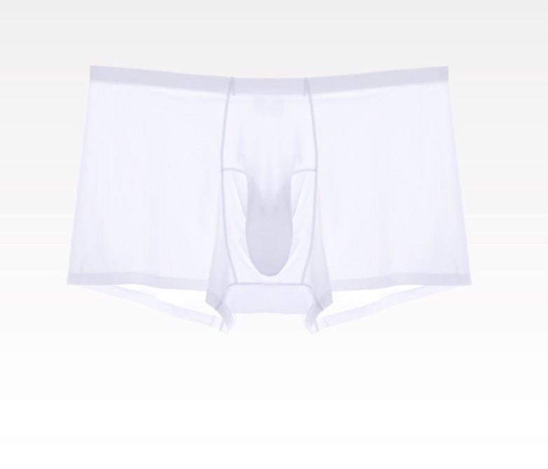 AY Underwear 6 Pack Men's Elephant's Trunk Super Thin Ice Silk See-Through Underpants