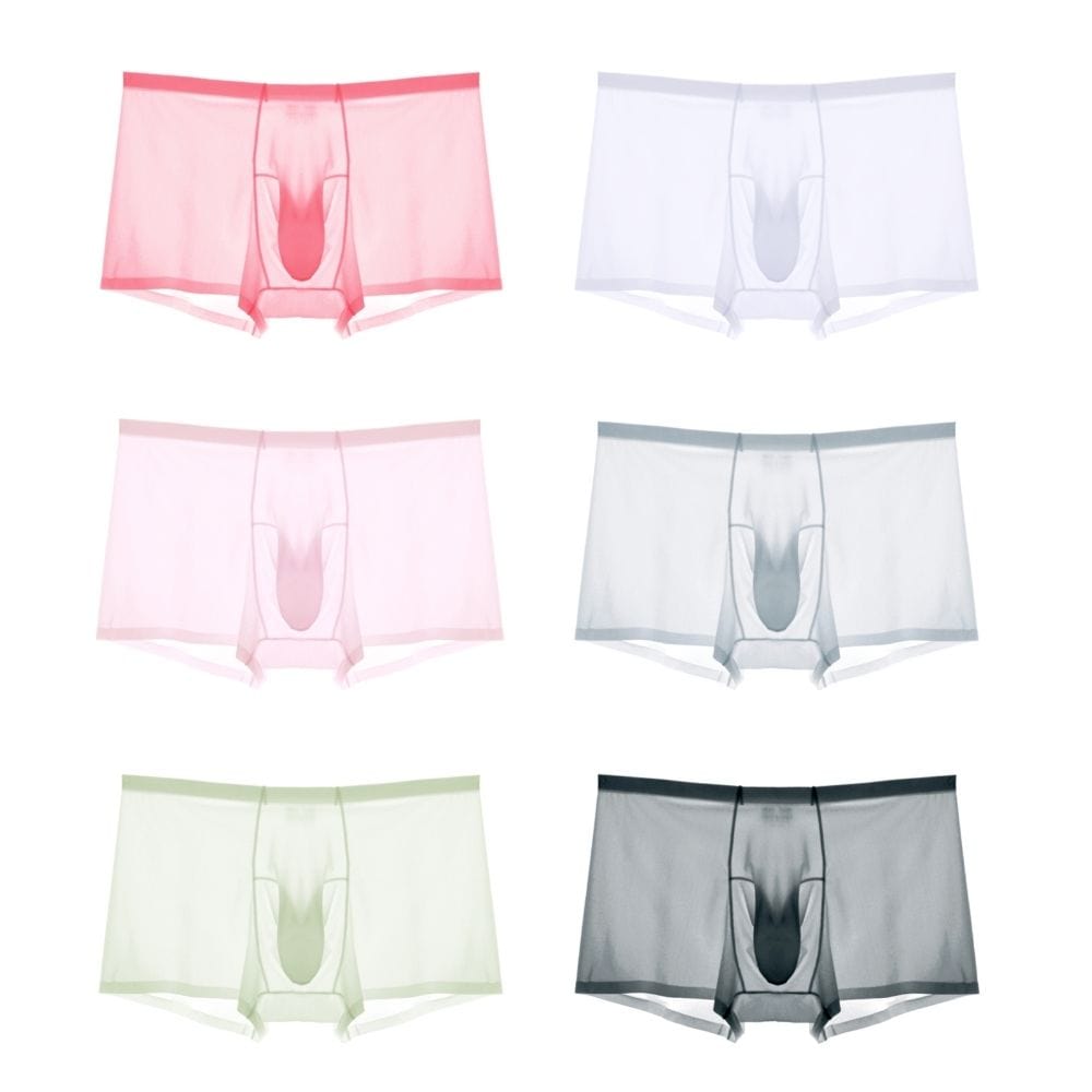 AY Underwear XS (26-28) / Pack of 6 6 Pack Men's Elephant's Trunk Super Thin Ice Silk See-Through Underpants