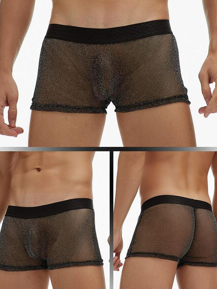 menaful Black / M Men's Sheer Mesh Pouch Boxer