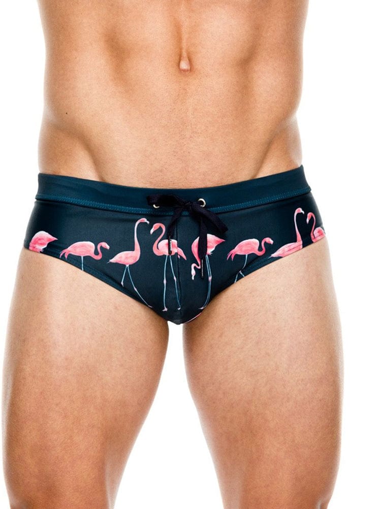 menaful Black / M Printed Flamingo Beach Swim Briefs