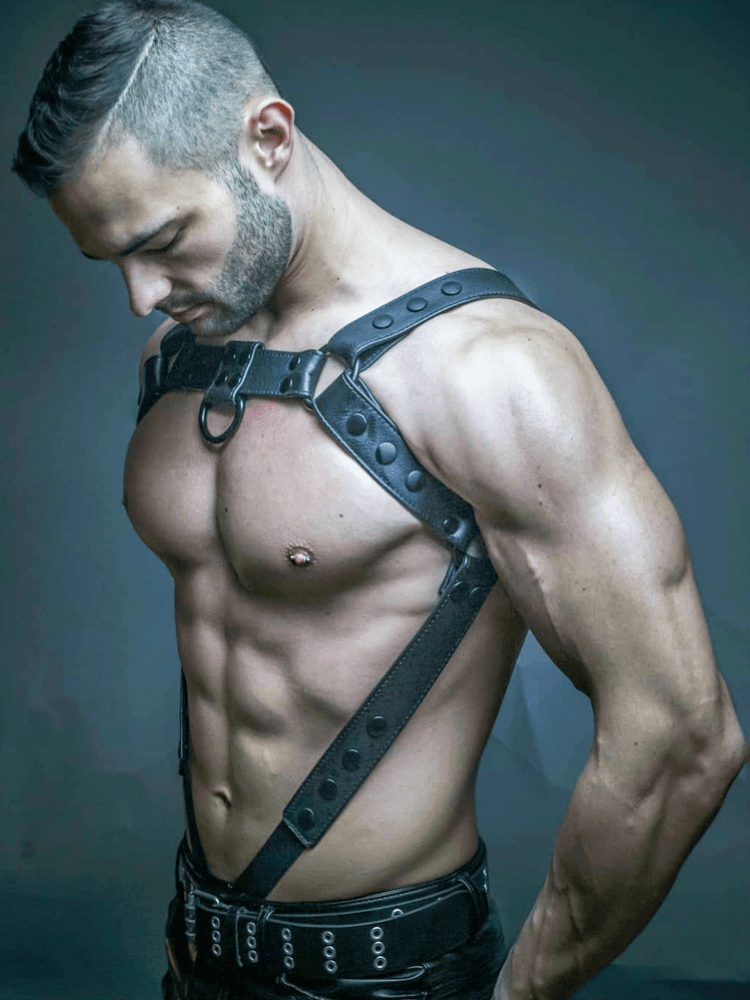 menaful Black / S Top Layer Cowhide Bulldog Harness