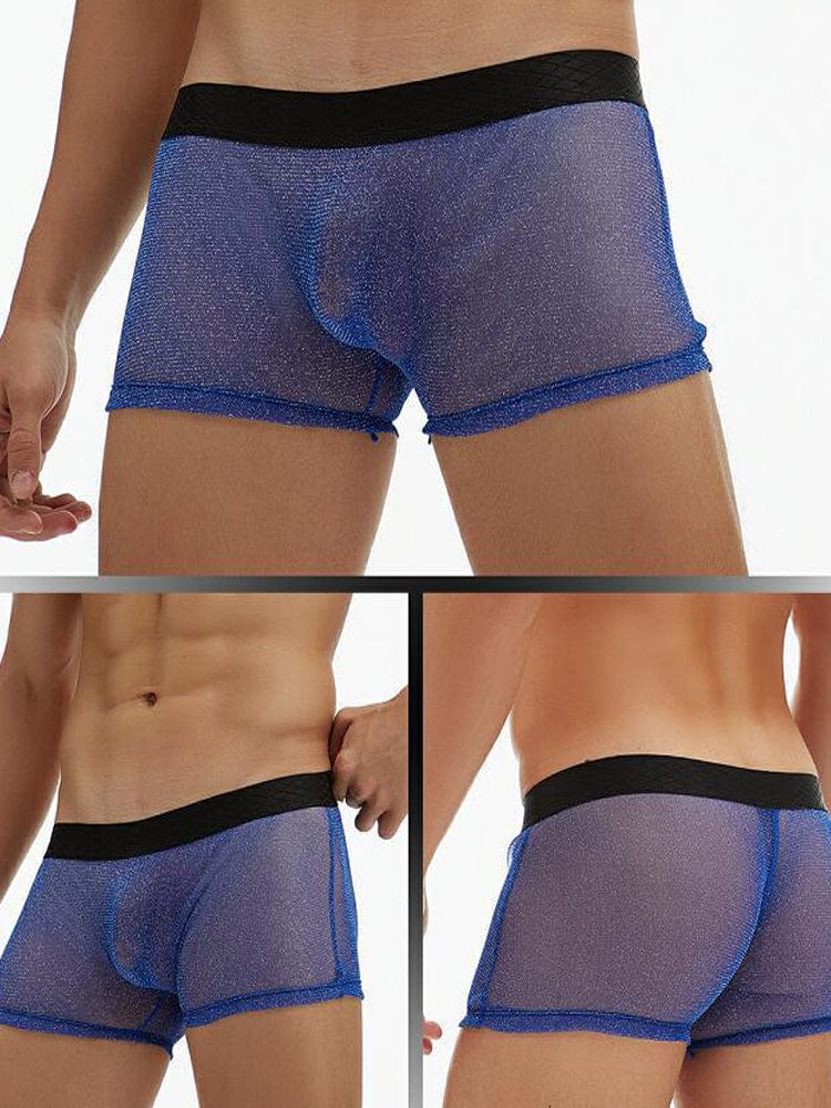 menaful Blue / M Men's Sheer Mesh Pouch Boxer