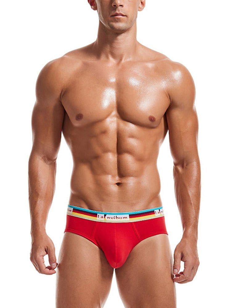 menaful Briefs 2 Pack Men's Rainbow Waistband Big Pouch Briefs