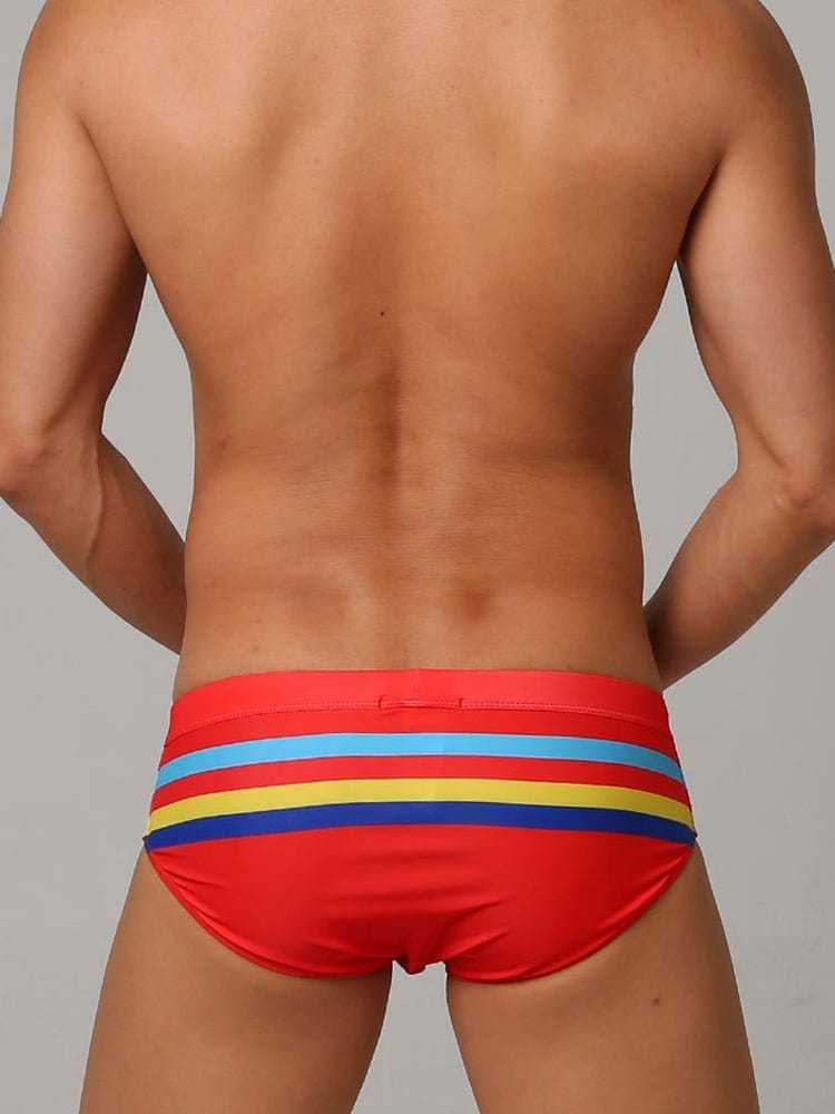 menaful briefs Color Striped Swim Briefs