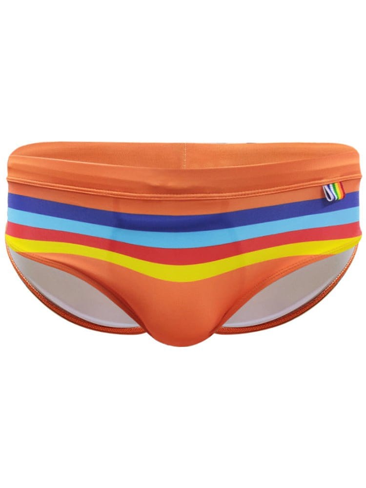 menaful briefs Color Striped Swim Briefs