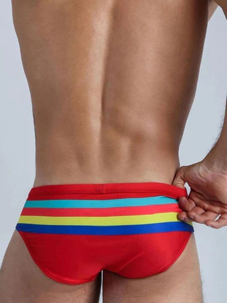 menaful briefs Color Striped Swim Briefs