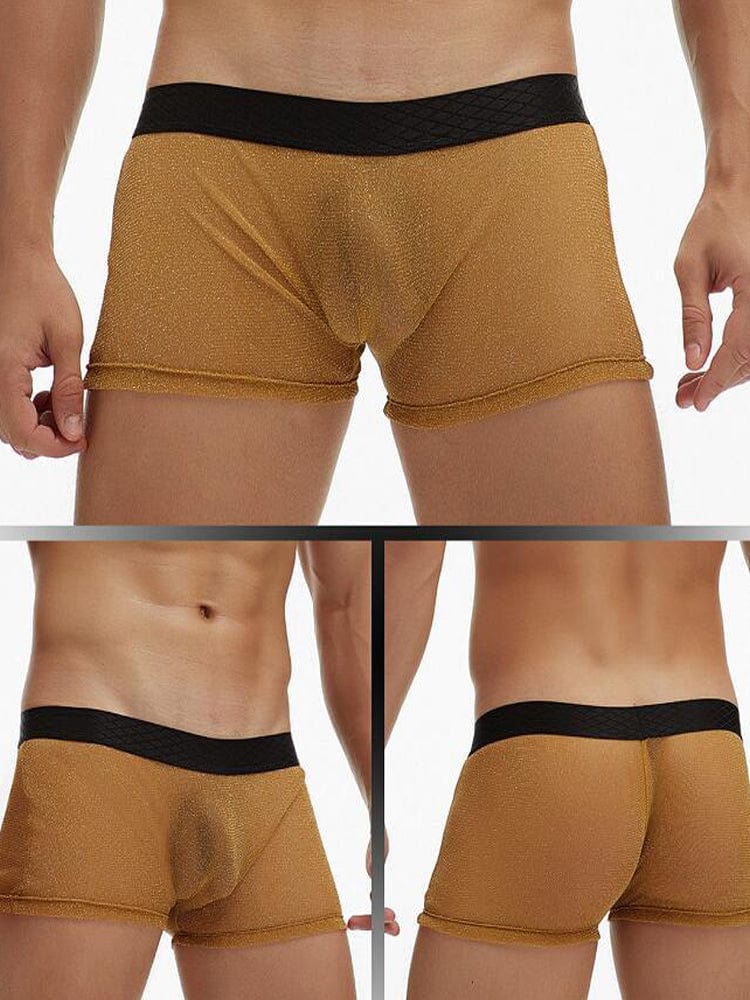 menaful Gold / M Men's Sheer Mesh Pouch Boxer