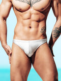 menaful Gray / M Men's Low Waist Thong Swim Bikini