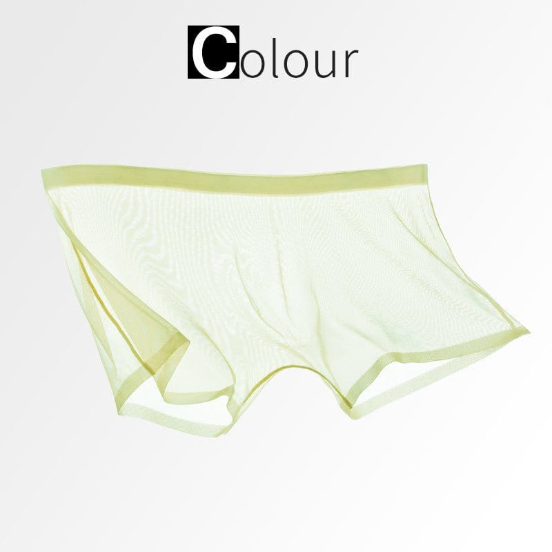 Menaful™ green / M Men's Ice Silk Sexy Mesh Full Transparent Boxer Shorts