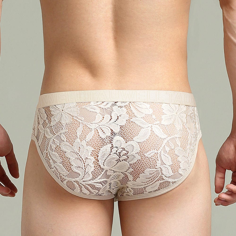 Menaful™ Men's Lace Sexy Low-Rise Briefs