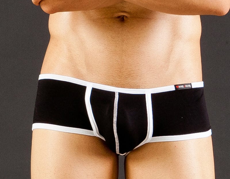 Menaful™ Men's Low-Rise Ultra-Thin Super Stretch Briefs