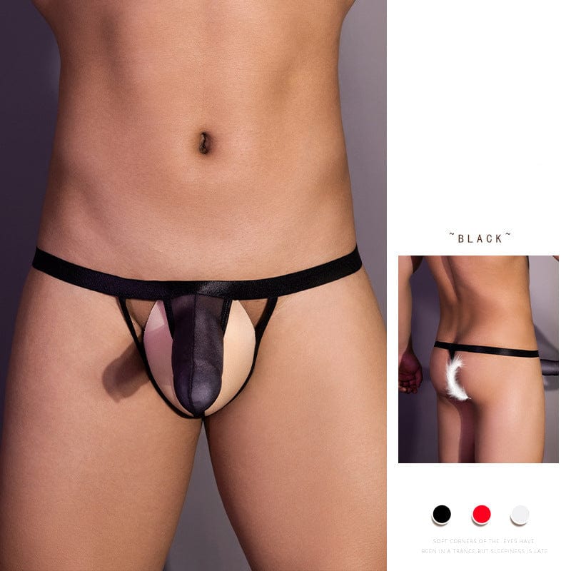 Menaful™ Men's Sexy Low-rise Thong