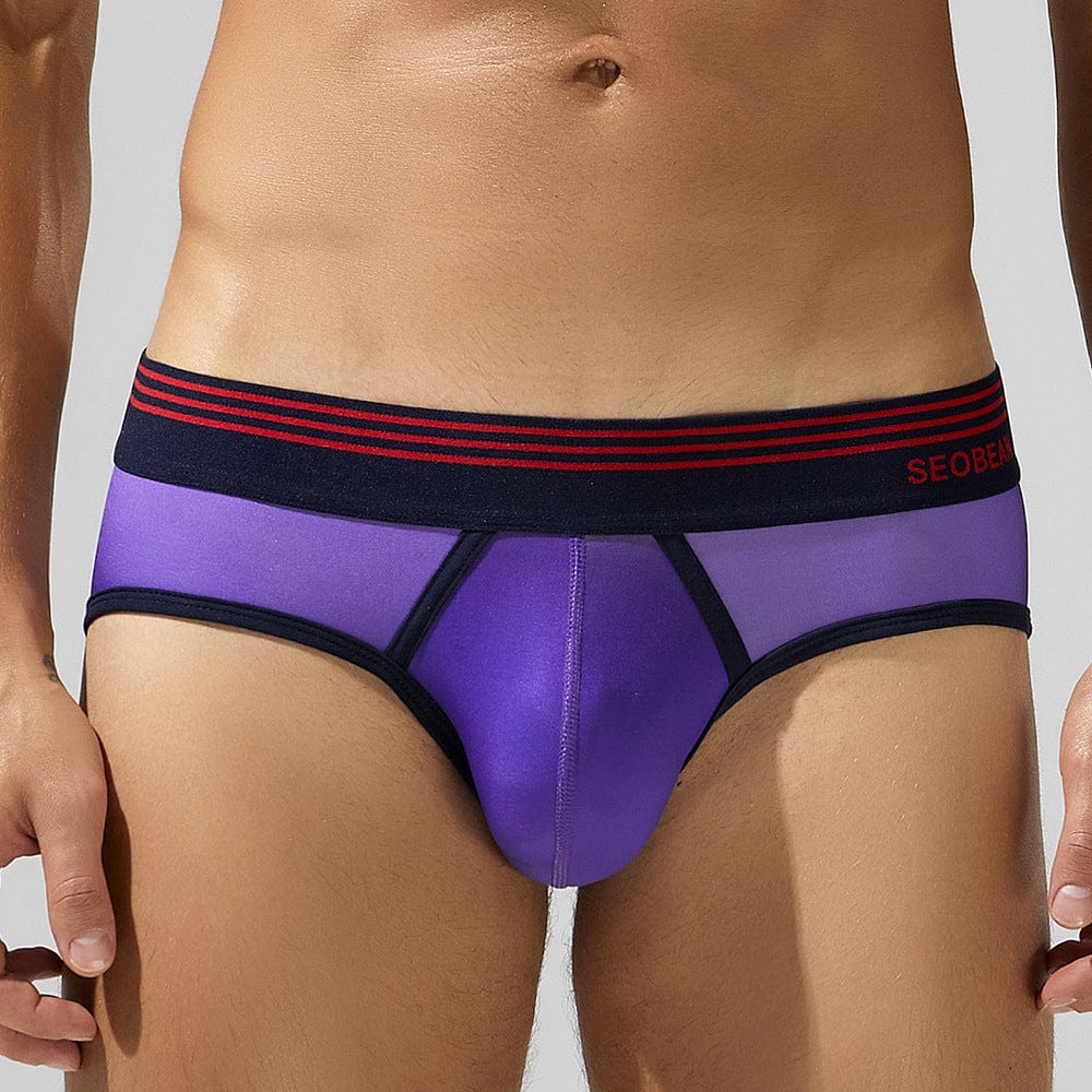 Menaful™ Men’s Summer Gradient Low-Rise briefs