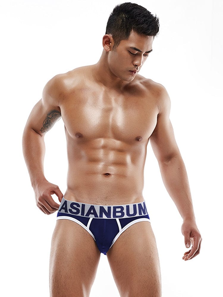 menaful Navy Blue / M Men's Low Waist Nylon Ice Silk Briefs