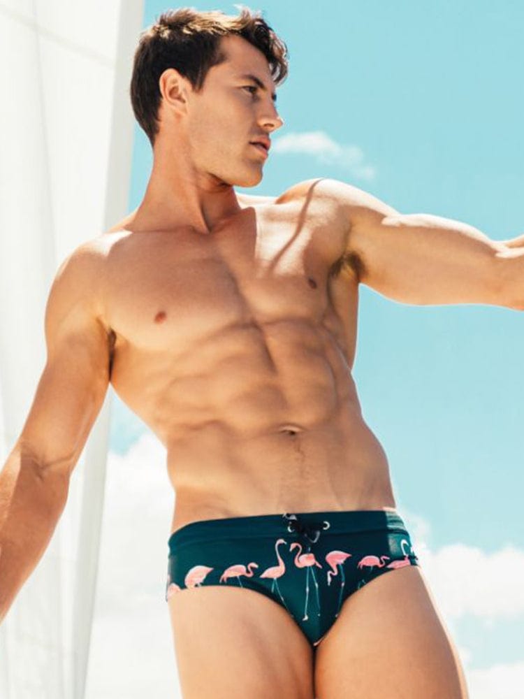 menaful Printed Flamingo Beach Swim Briefs