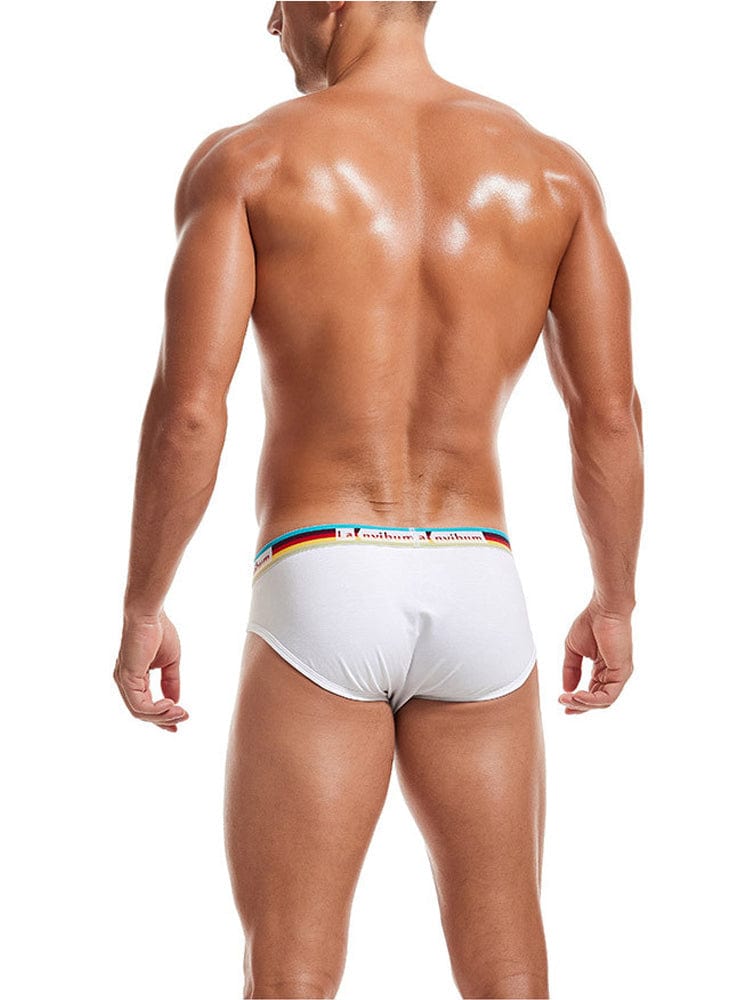 menaful Rainbow Waistband Cotton Briefs