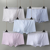 Menaful™ underwear Pastel Striped Boxer Briefs 5-Pack