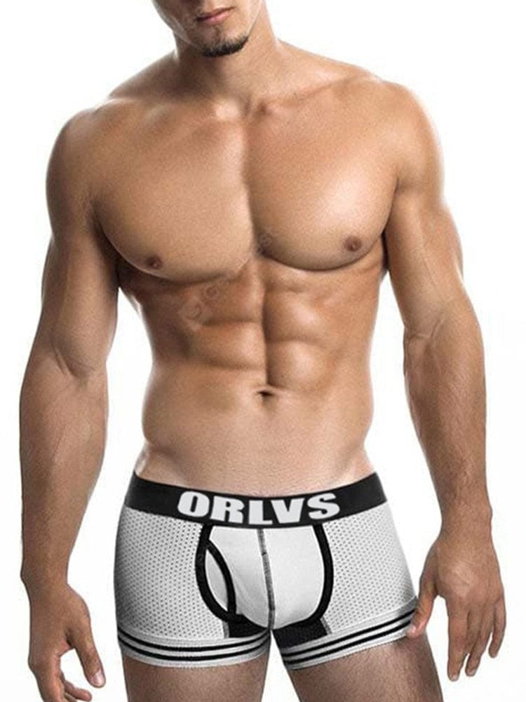 menaful White / M Mesh Cloth Men's Sexy Breathable Comfort Boxer Briefs